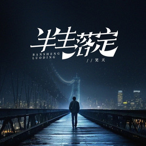 半生落定 (DJ默涵版)