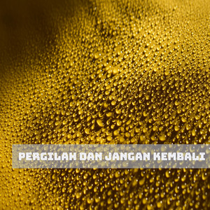 Pergilah dan jangan kembali