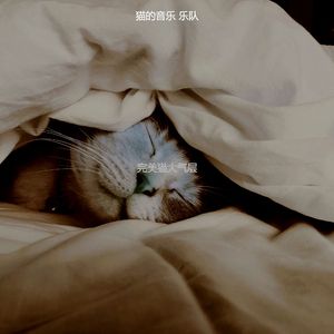 微妙的小猫心情