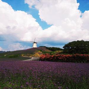 放假了（片段）