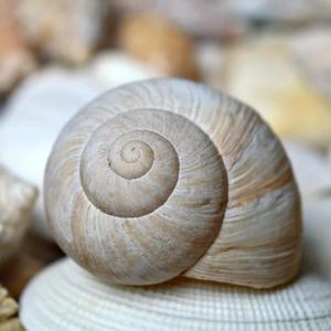 温柔的治愈力量