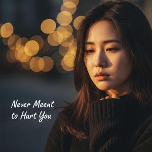 Never Meant to Hurt You