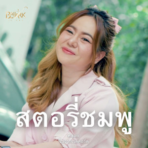 สตอรี่ชมพู