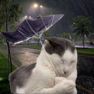 Lựa Chọn Mất Đi Kí Ức