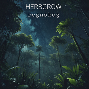 Regnskog
