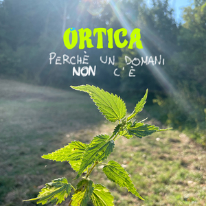 Perché un domani non c'è