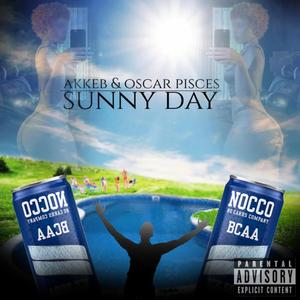 SUNNY DAY (feat. Oscar Pisces)