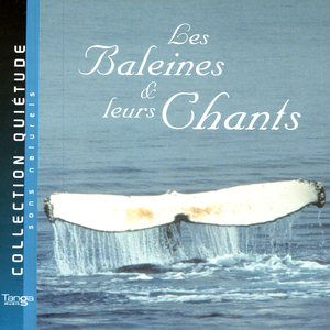 Sons Naturels Chants et Cris de Baleines et Bruits de Mer