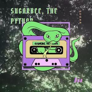 gniddehs dux (feat. IVIX)