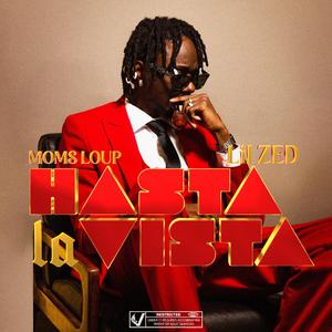HASTA LA VISTA (feat. LIL ZED)