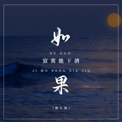 如果寂寞能下酒 (DJ默涵版)