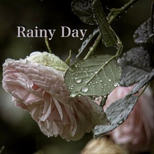 僕と君の価値観なんて浴槽程 (2025 Version)