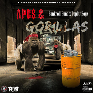 Apes & Gorillas