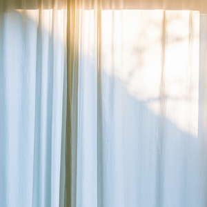 아침 햇살을 머금은 너에게