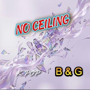 NO CEILING