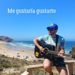 Me gustaría gustarte (Acústico)