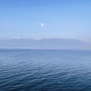 瞬（女声cover）