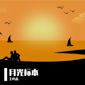 光的褶皱