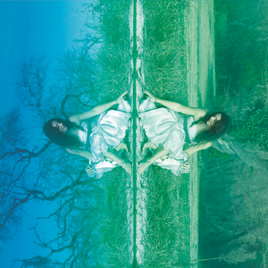 Pieces of Central Park (feat. Mauricio Zottarelli, Matt King, Marco Panascia & Vinícius Gomes)