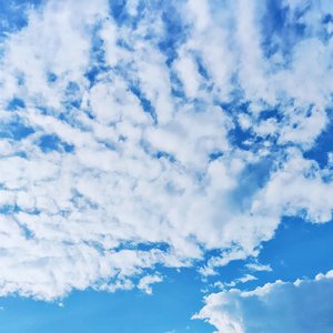 空寂森林