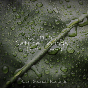 Sparkling Stream Dance