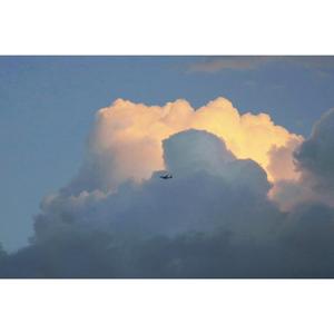 爱丽丝日记（prod.by WayMen）