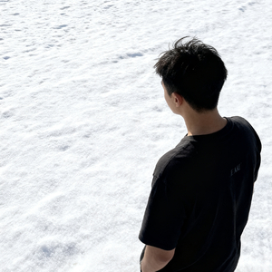 当时只道是寻常