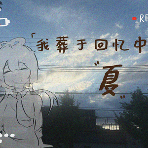 我葬于回忆中的夏