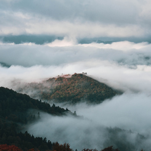 Summer in the Ukrainian Village