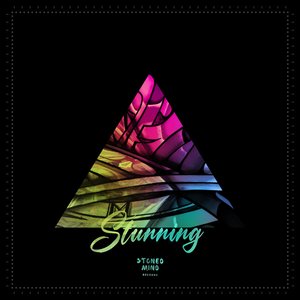 Stunning (Instrumental)