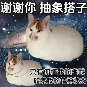 堤(COVER)