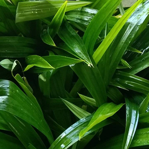 หลงรักในทุกสิ่งที่เธอเป็น