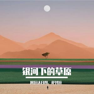 银河下的草原