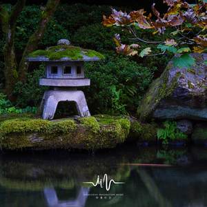 望湖月 (安神静心)