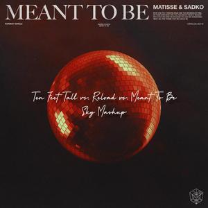 Ten Feet Tall vs. Reload vs. Meant To Be（Mashup）