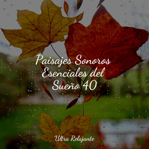 Mirando Hacia El Cielo