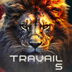 Travail 5 (Acoustic Version)