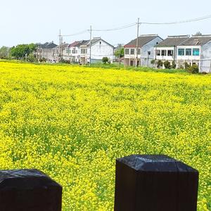 庞龙-兄弟抱一下 -1（周周 remix）