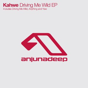 Driving Me Wild (Original Mix)