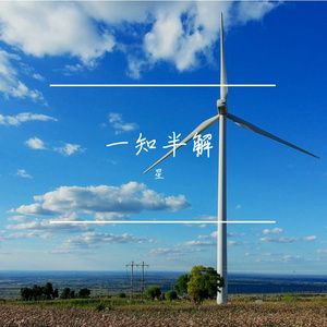 一知半解