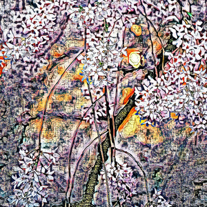 Witful