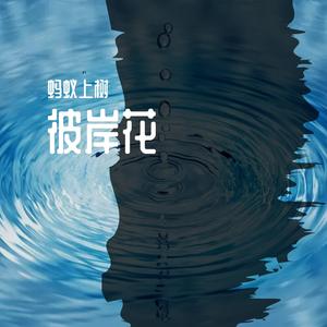 好想爱这个世界啊