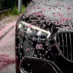 迈巴赫进行曲（无人扶我凌云志，我自踏雪至山巅）