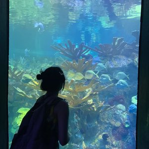 潮騒のメモリー（海潮的回忆）