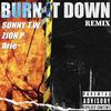 Zion P - BURN IT DOWN