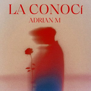 La conocí