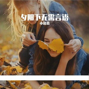 夕阳下无需言语