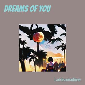 Dreams of You (Acoustic)