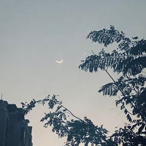 眼泪落下之前（cover）