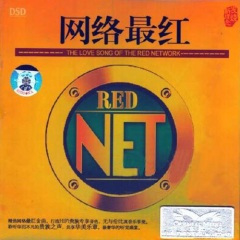 沙鸥遇海滩 (康康DJ摇摆舞曲版)